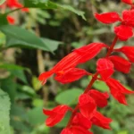 IMG_20251110_081058