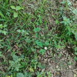 IMG_20251109_170051