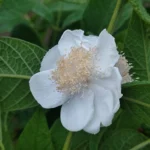 IMG_20251107_175413