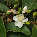 IMG_20251107_075311