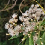 IMG_20251105_080442