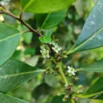IMG_20251104_142951