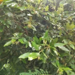 IMG_20251221_133401