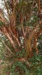 20200801_122334