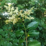 IMG_20251206_161456