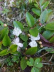 IMG_20221106_061024