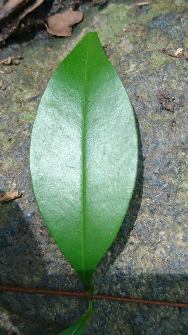 CM191028-133309022