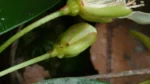 CM191028-132637009