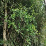 IMG_20260121_091637