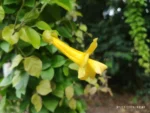 IMG_20260131_174221