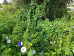 IMG_20260130_083012