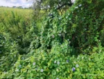 IMG_20260130_083025