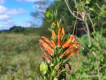 IMG_20260130_093659