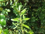 IMG_20260130_093846
