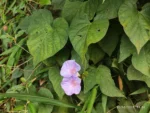 IMG_20260130_141635