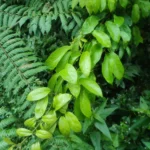IMG_20260118_180150