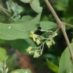 IMG_20260118_180835