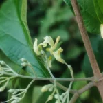 IMG_20260118_180900