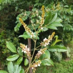 IMG_20260116_152129