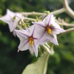 IMG_20260116_152428