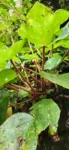 IMG-20240218-WA0102.jpg