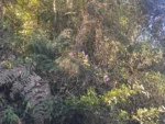 IMG_20260418_093008