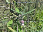 IMG_20260211_135016