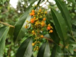 IMG_20260209_100548