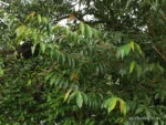 IMG_20260209_100741
