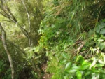 Urubici, Morro da Igreja (177)