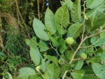 IMG_20260202_102330
