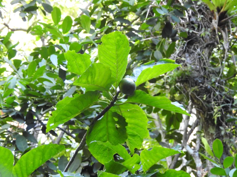 DSCN3162