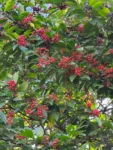 IMG-20260327-WA0171