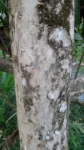 20201018_055251 (1)