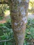 IMG_20210719_112731