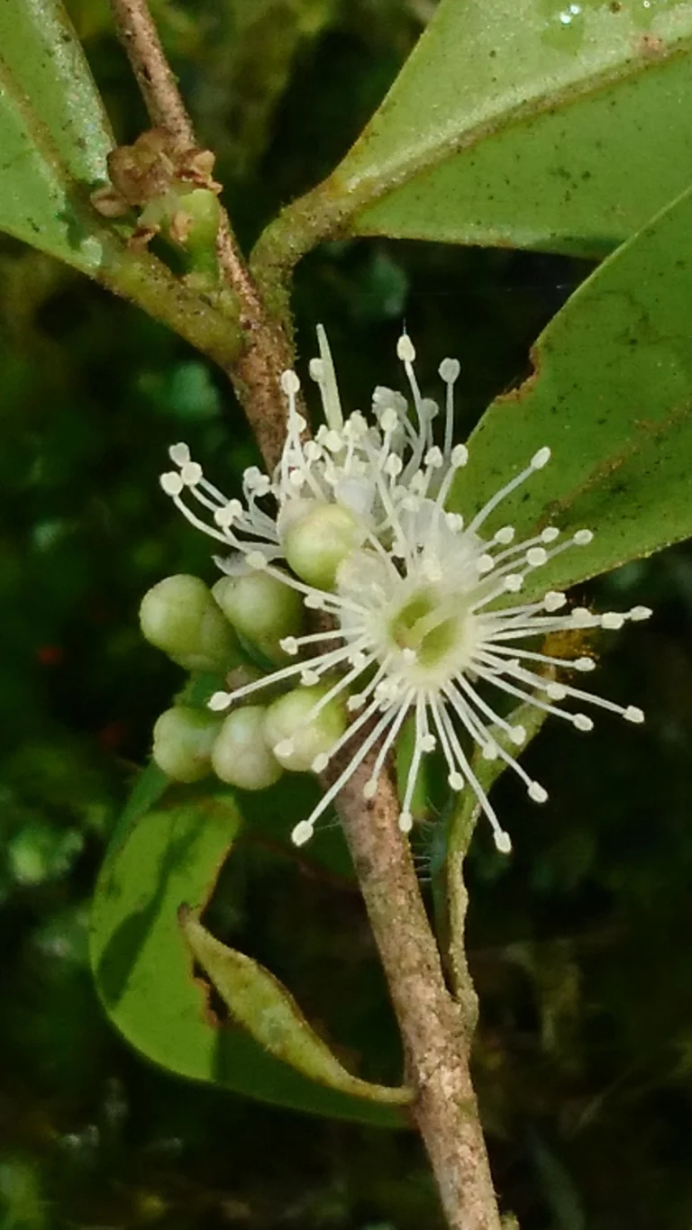 CM190612-112600023