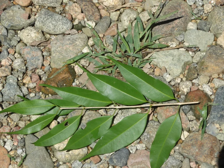 DSC01402
