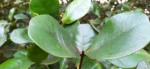 IMG_20240602_162553