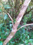 IMG_20240727_090359