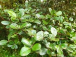 IMG_20240727_090351
