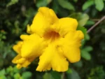 IMG_20260311_143947