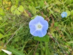 IMG_20260306_082728