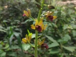 IMG_20260303_110617