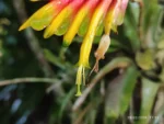 IMG_20260228_171624