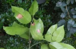 IMG_20231023_171607_1