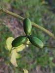 IMG_20260326_164239