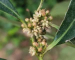 IMG_20260326_101006