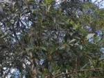 IMG_20260326_101146