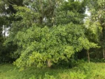 IMG_20260326_104959