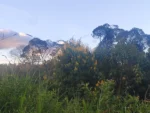 IMG_20260430_172728